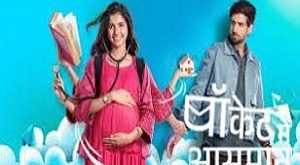 Pocket Mein Aasman